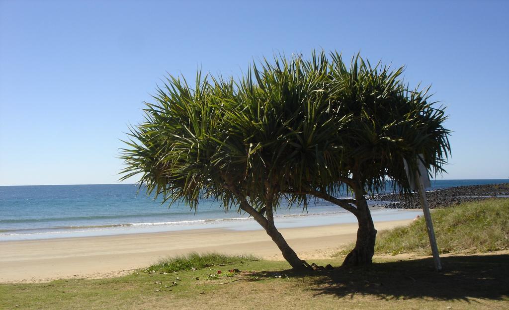 Koola Beach Apartments Bargara Exterior photo